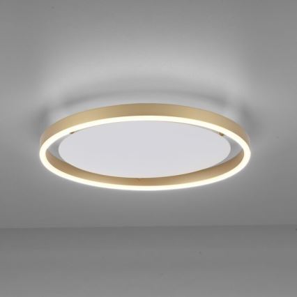 Leuchten Direkt 15391-60 - LED Dimmable ceiling light RITUS LED/20W/230V brass
