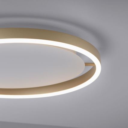 Leuchten Direkt 15391-60 - LED Dimmable ceiling light RITUS LED/20W/230V brass