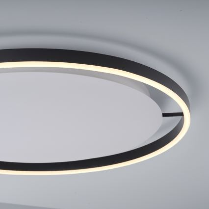 Leuchten Direkt 15392-13 - LED Dimmable ceiling light RITUS LED/30W/230V black