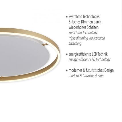 Leuchten Direkt 15392-60 - LED Dimmable ceiling light RITUS LED/30W/230V brass