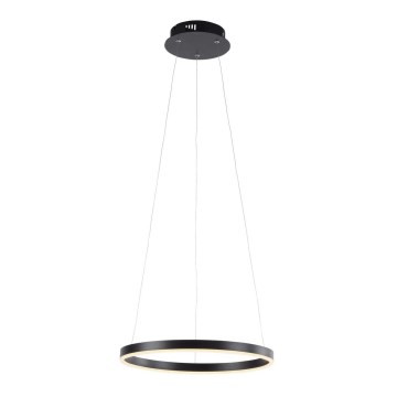 Leuchten Direkt 15393-13 - LED Dimmable pendant light on cable RITUS LED/23,5W/230V black