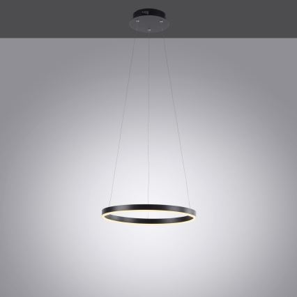 Leuchten Direkt 15393-13 - LED Dimmable pendant light on cable RITUS LED/23,5W/230V black