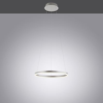 Leuchten Direkt 15393-95 - LED Dimmable chandelier on a string RITUS LED/20W/230V matte chrome