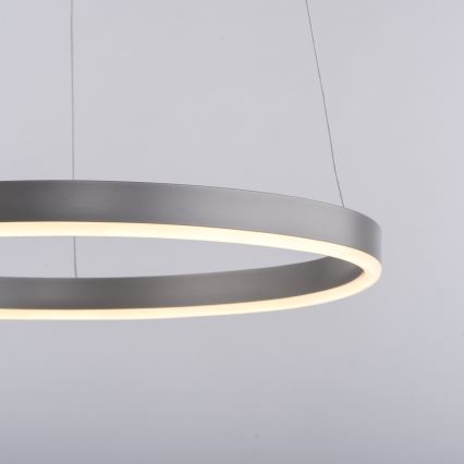 Leuchten Direkt 15393-95 - LED Dimmable chandelier on a string RITUS LED/20W/230V matte chrome