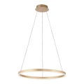 Leuchten Direkt 15394-60 - LED Dimmable chandelier on a string RITUS LED/30W/230V brass