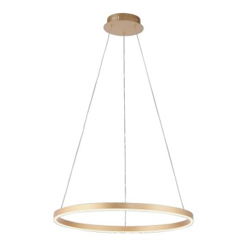 Leuchten Direkt 15394-60 - LED Dimmable chandelier on a string RITUS LED/30W/230V brass