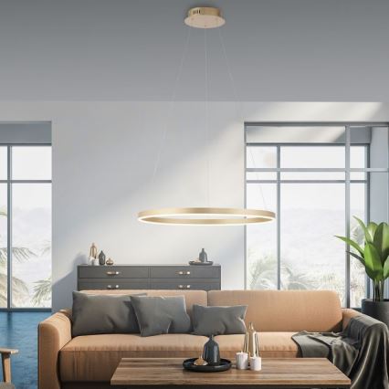 Leuchten Direkt 15394-60 - LED Dimmable chandelier on a string RITUS LED/30W/230V brass
