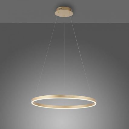 Leuchten Direkt 15394-60 - LED Dimmable chandelier on a string RITUS LED/30W/230V brass