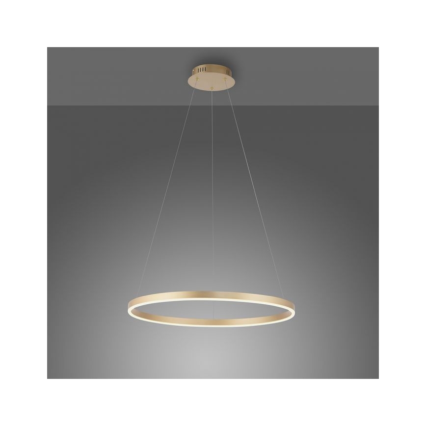 Leuchten Direkt 15394-60 - LED Dimmable chandelier on a string RITUS LED/30W/230V brass