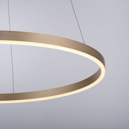 Leuchten Direkt 15394-60 - LED Dimmable chandelier on a string RITUS LED/30W/230V brass