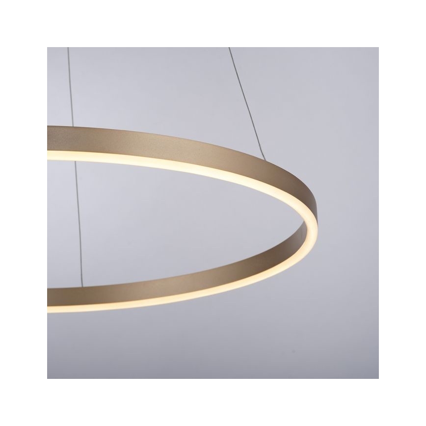 Leuchten Direkt 15394-60 - LED Dimmable chandelier on a string RITUS LED/30W/230V brass