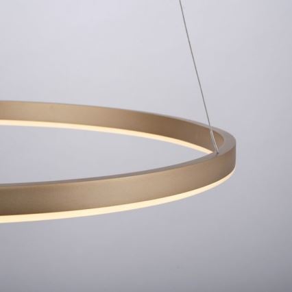 Leuchten Direkt 15394-60 - LED Dimmable chandelier on a string RITUS LED/30W/230V brass