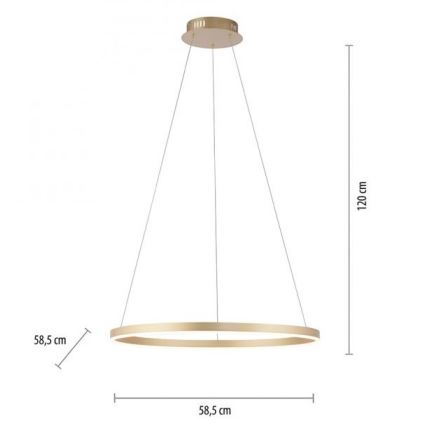 Leuchten Direkt 15394-60 - LED Dimmable chandelier on a string RITUS LED/30W/230V brass