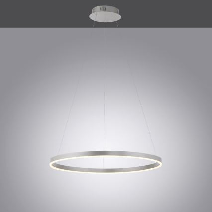 Leuchten Direkt 15394-95 - LED Dimmable chandelier on a string RITUS LED/30W/230V matte chrome