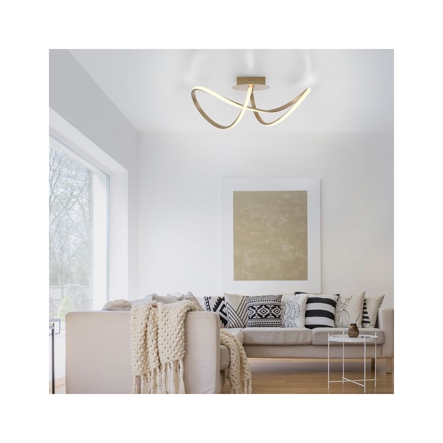Leuchten Direkt 15403-60 - LED Dimmable surface-mounted chandelier MARIA LED/15,5W/230V