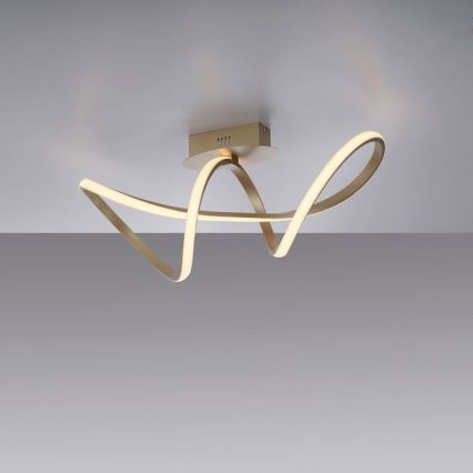 Leuchten Direkt 15403-60 - LED Dimmable surface-mounted chandelier MARIA LED/15,5W/230V