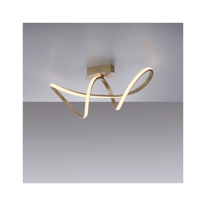 Leuchten Direkt 15403-60 - LED Dimmable surface-mounted chandelier MARIA LED/15,5W/230V