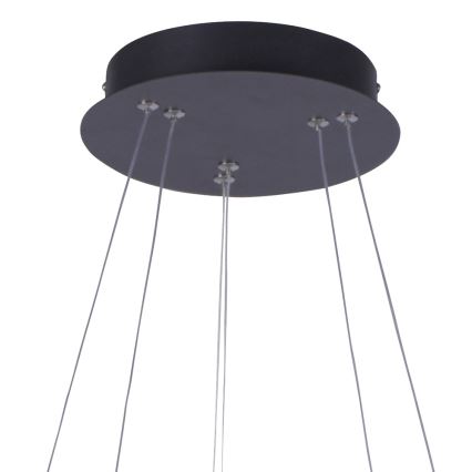 Leuchten Direkt 15610-18 - LED Dimmable chandelier on a string MUSA LED/36W/230V