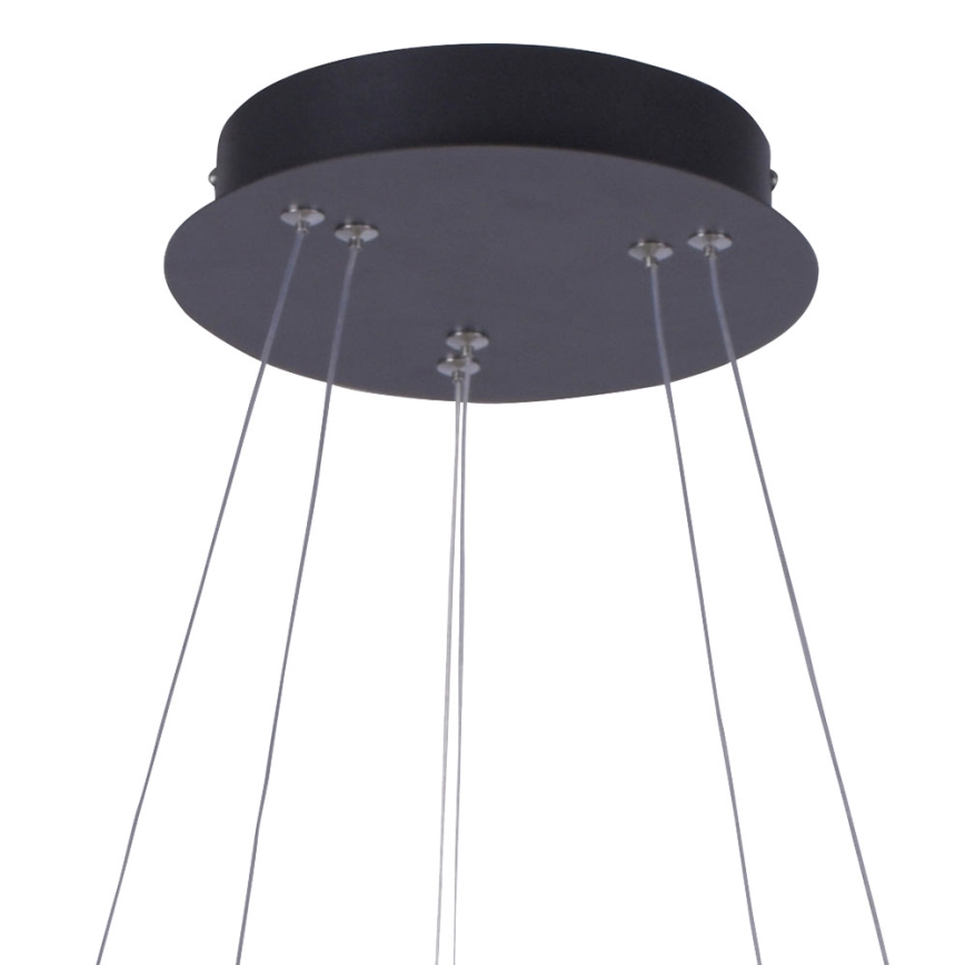 Leuchten Direkt 15610-18 - LED Dimmable chandelier on a string MUSA LED/36W/230V