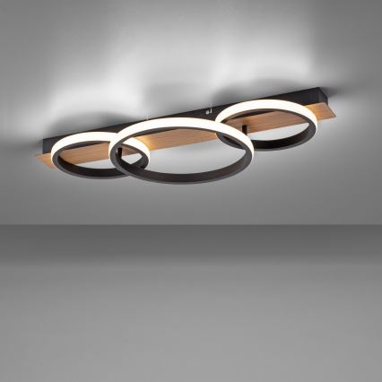 Leuchten Direkt 15616-78 - LED Ceiling light TROOPER LED/37W/230V