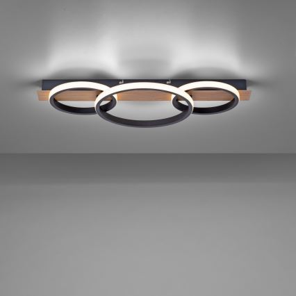 Leuchten Direkt 15616-78 - LED Ceiling light TROOPER LED/37W/230V