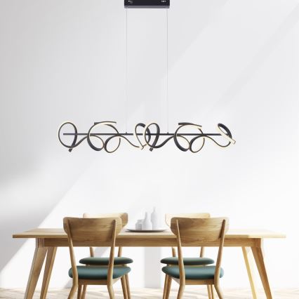 Leuchten Direkt 19033-18 - LED Dimming chandelier on a string CURLS 4xLED/10,2W/230V