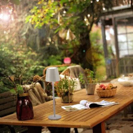 Leuchten Direkt 19250-40 - LED Outdoor dimmable rechargeable table lamp EURIA LED/3W/5V IP54 grey