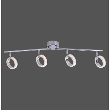 Leuchten Direkt L10504-17 - LED Spotlight ANGELO 4xLED/3,5W/230V