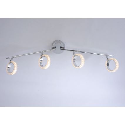 Leuchten Direkt L10504-17 - LED Spotlight ANGELO 4xLED/3,5W/230V
