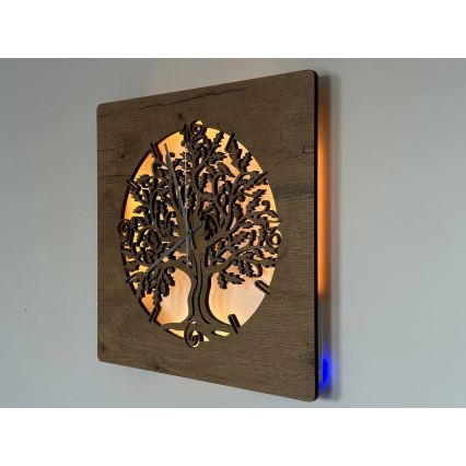 Li-Go 5652/DUB2 - Dimmable LED Clock LED/10W/5V 20000 mAh 42 x 42 cm Oak / Oak Circular Frame + Remote Control