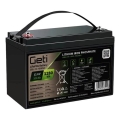 LiFePO4 Battery 12.8V/100Ah