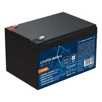 LiFePO4 Rechargeable Battery 12.8V / 12Ah