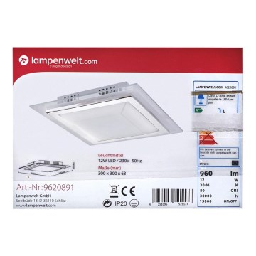 Lindby - LED Ceiling light ALESSIO LED/12W/230V