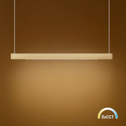 LINEA LED cable pendant 36W/230V 3000/4000/5700K CRI 90 – Gold