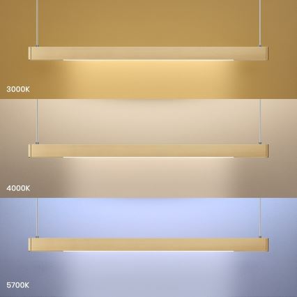 LINEA LED cable pendant 36W/230V 3000/4000/5700K CRI 90 – Gold