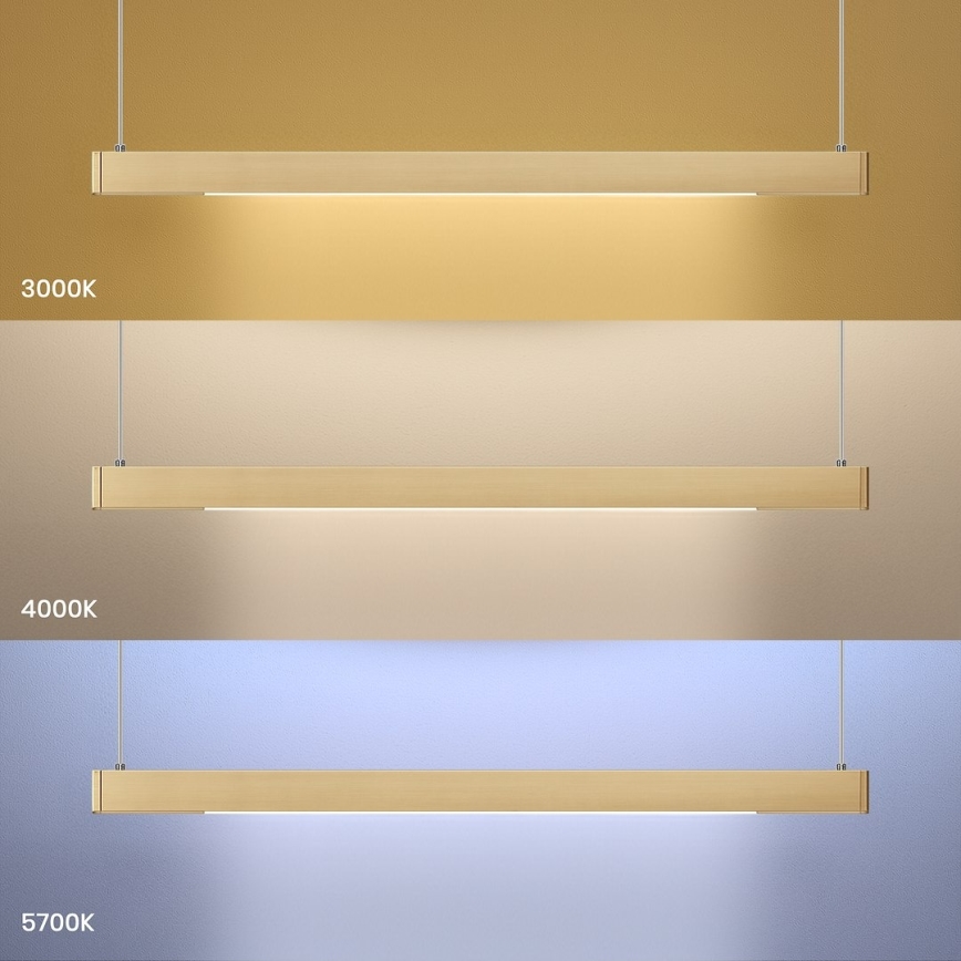 LINEA LED cable pendant 36W/230V 3000/4000/5700K CRI 90 – Gold