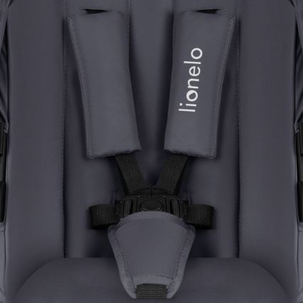 Lionelo - 3-in-1 AMBER PLUS combination stroller Grey Graphite