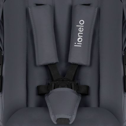 Lionelo - AMBER PLUS 2-in-1 Combo Stroller, Grey Graphite