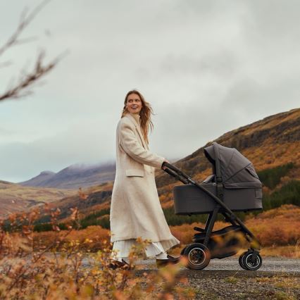 Lionelo - AMBER PLUS 2-in-1 Convertible Stroller Grey Graphite
