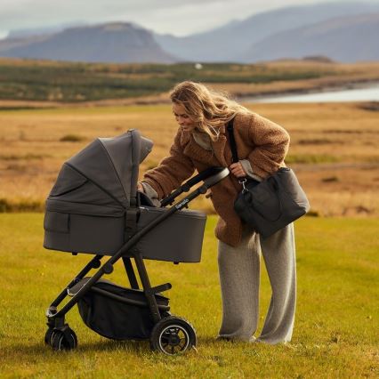 Lionelo - AMBER PLUS 2-in-1 Convertible Stroller Grey Graphite