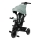 Lionelo - BERRY Kids' Tricycle, Green Forest