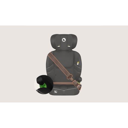 Lionelo - BILLY i-Size Car Seat 76-150 cm Black Carbon