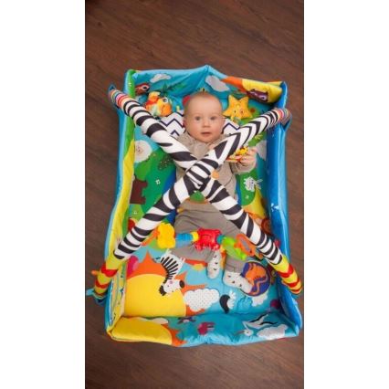 Lionelo - Children's blanket for playing ANIKA
