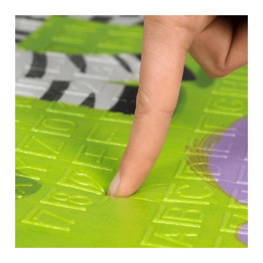 Lionelo - Children's play mat ROBBY
