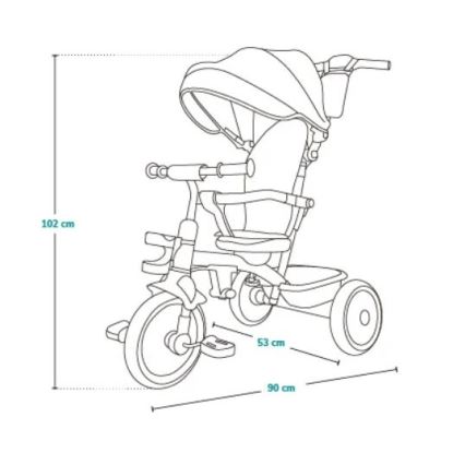 Lionelo - Children's tricycle BERRY Grey Stone