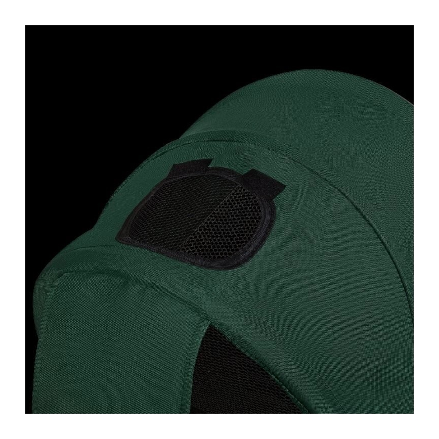 Lionelo - Children's tricycle HAARI green/black