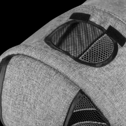 Lionelo - Children's tricycle TRIS grey