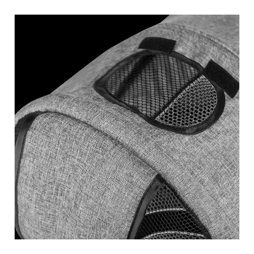 Lionelo - Children's tricycle TRIS grey