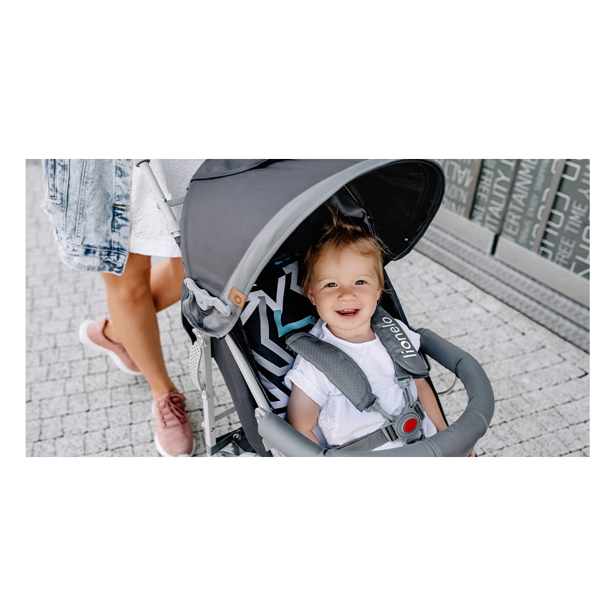 Lionelo - ELIA umbrella stroller, grey