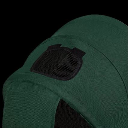 Lionelo - HAARI Kids' Tricycle Green/Black